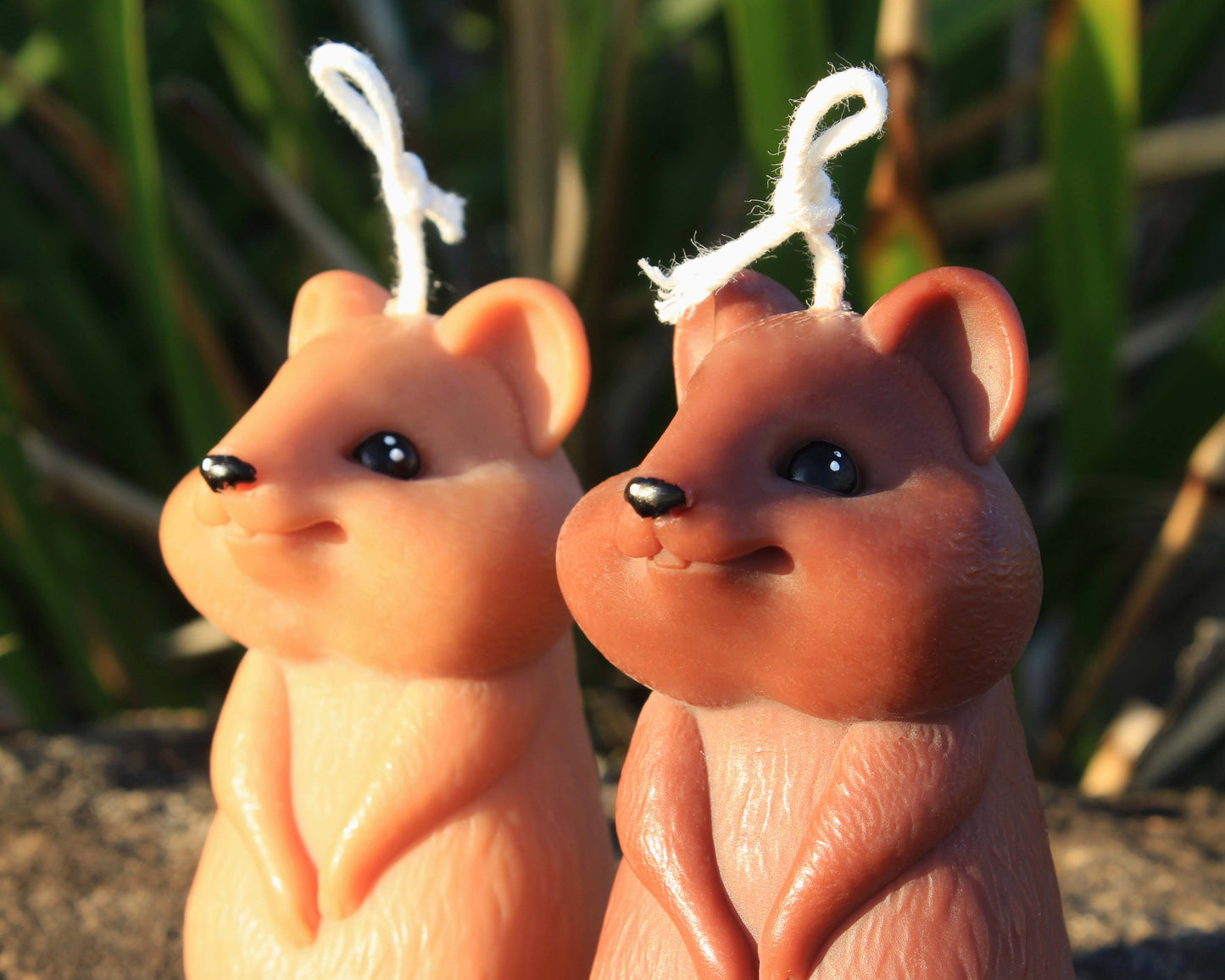 Quokka Candle