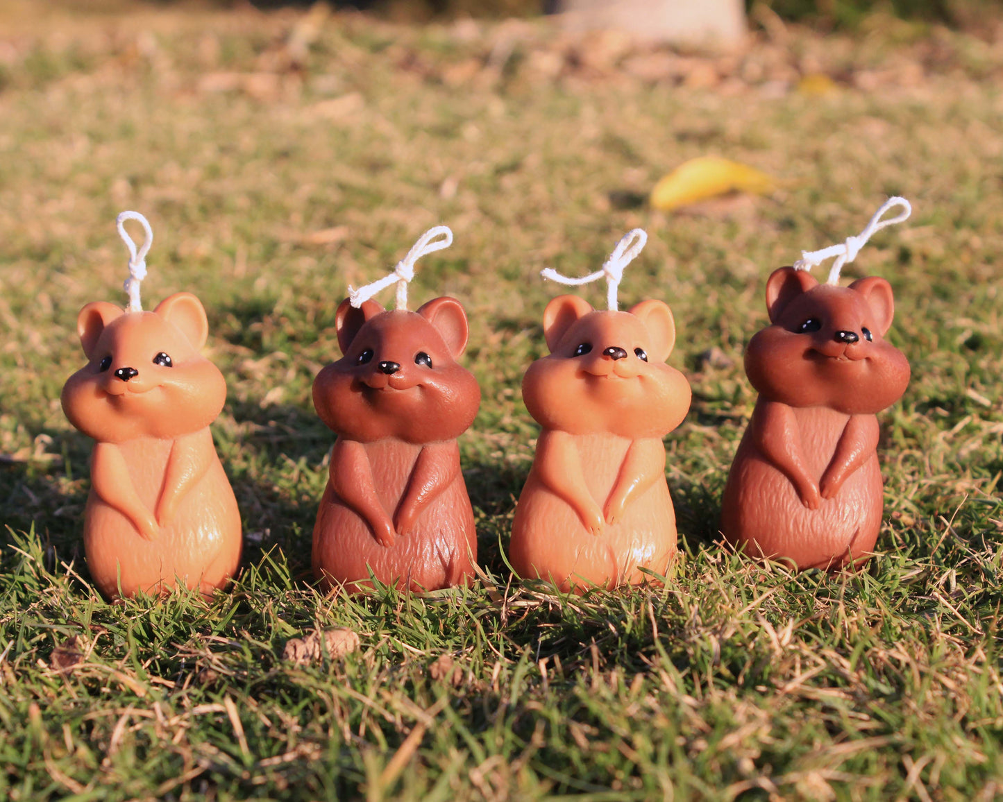 Quokka Candle
