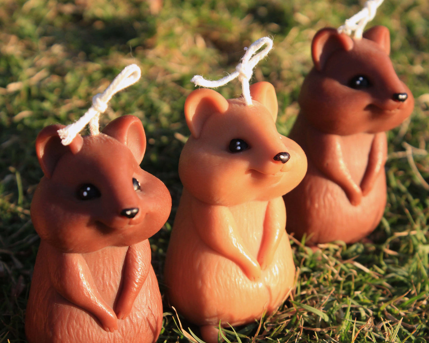 Quokka Candle