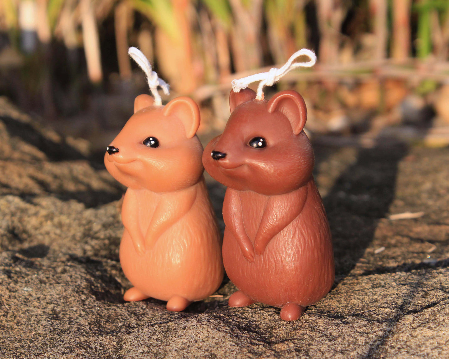 Quokka Candle