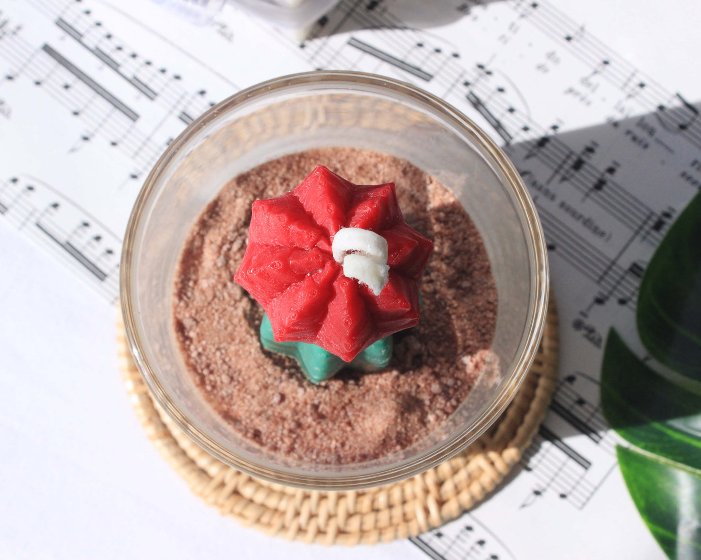 Cactus Candle, Succulent Candle