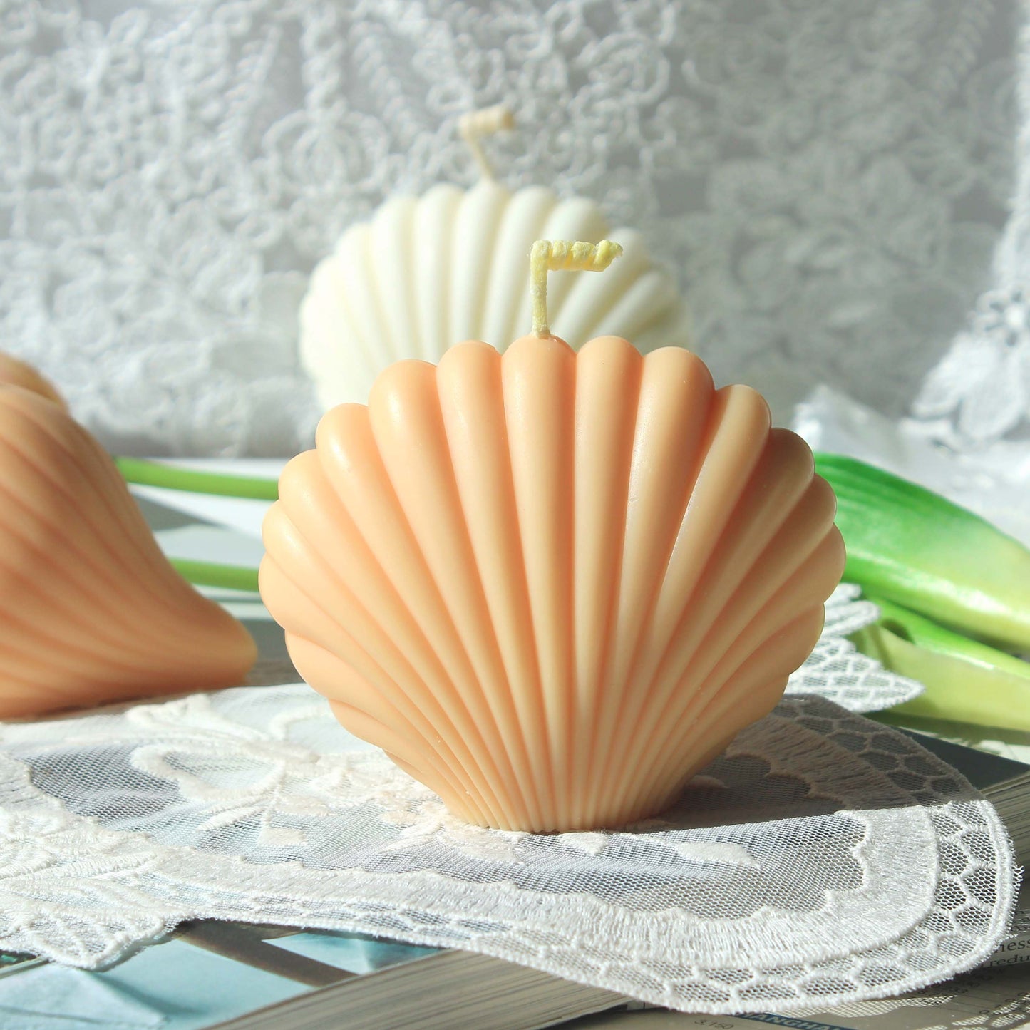 Seashell, Clam, Scallop Candle