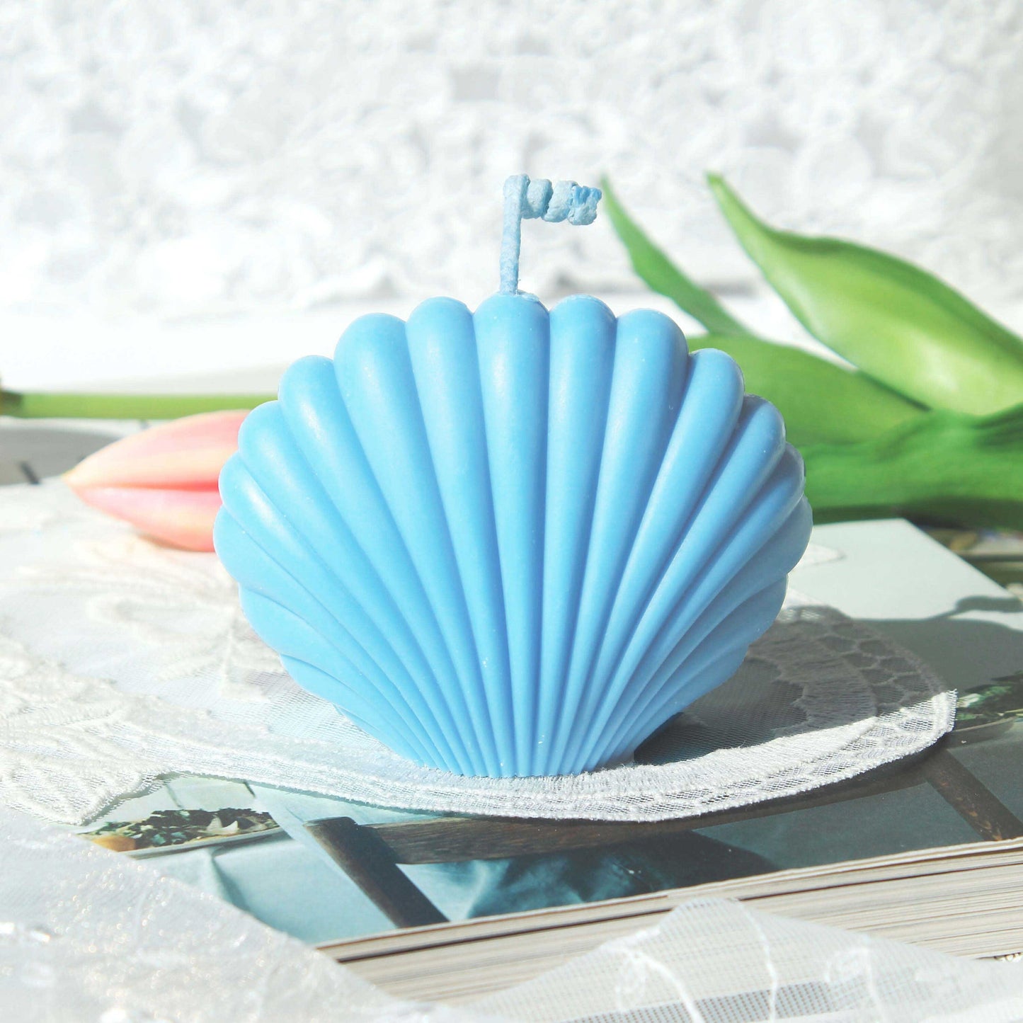 Seashell, Clam, Scallop Candle