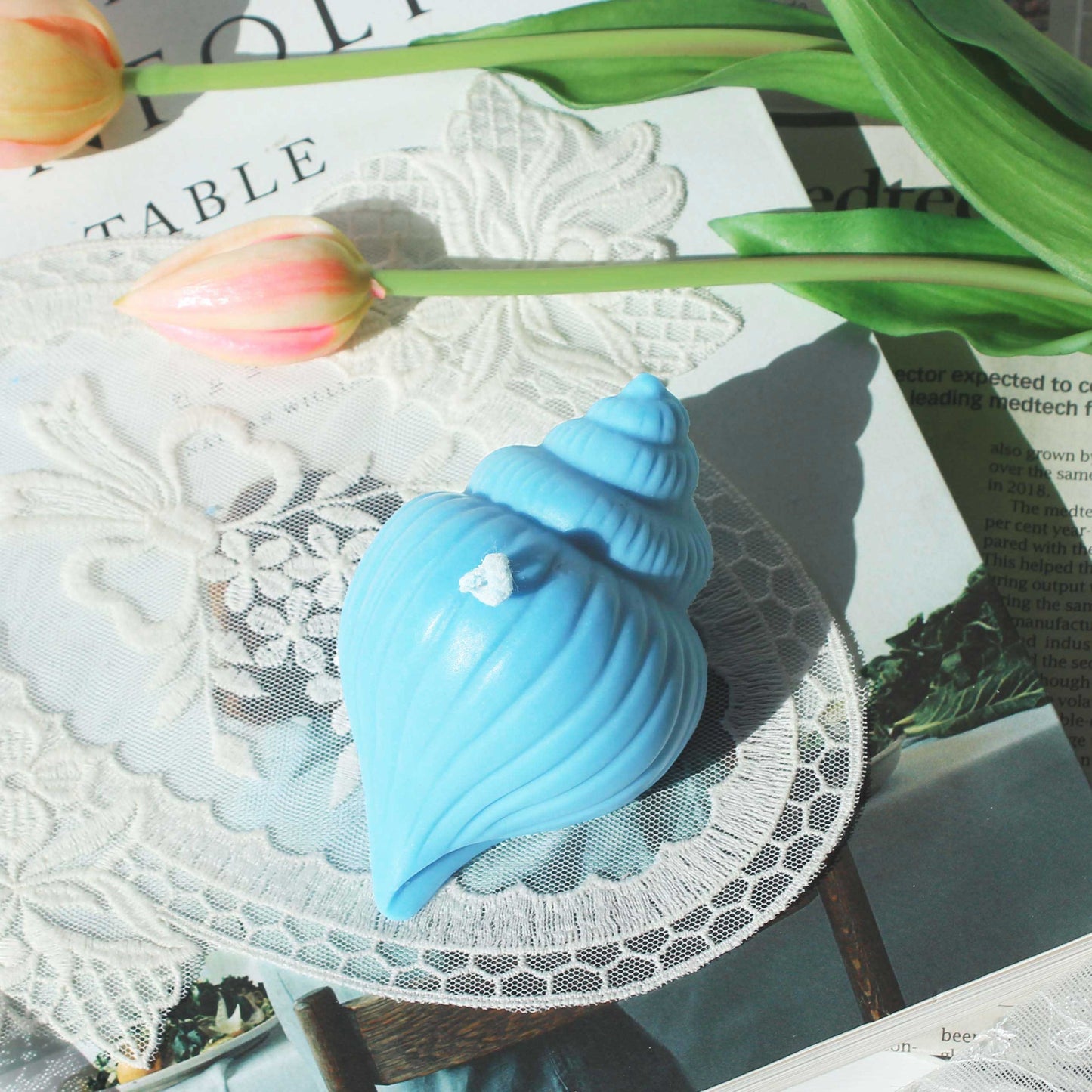 Shell (Conch) Candle