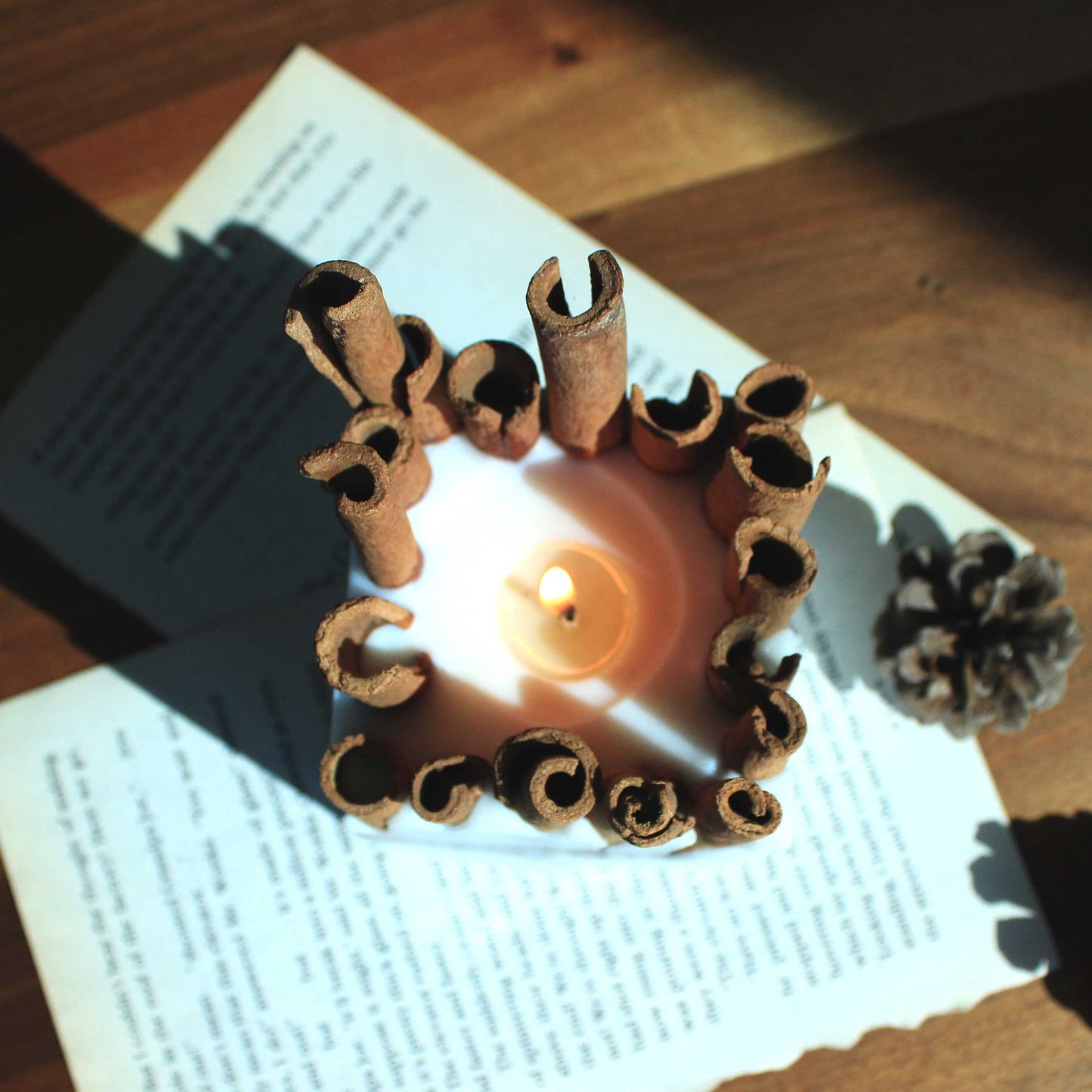 Cinnamon Stick Candle