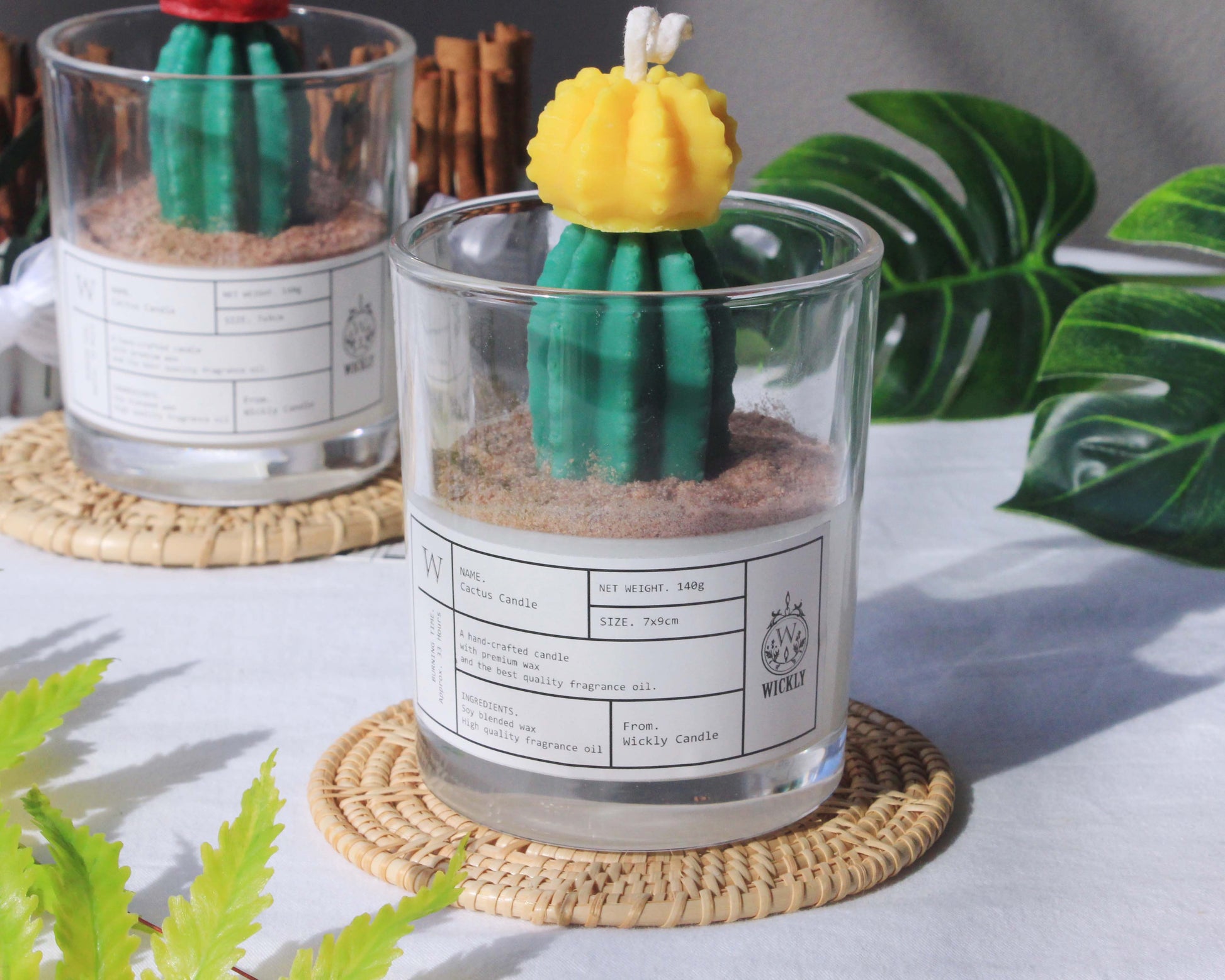 candle jar succulents Cactus Candle, Succulent Candle – wickly candle